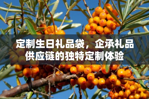 定制生日礼品袋，企承礼品供应链的独特定制体验
